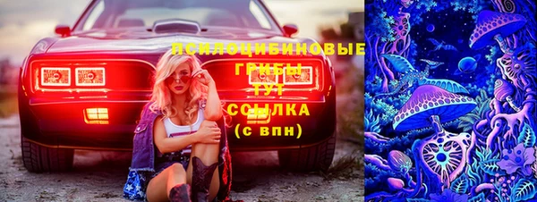 ешки Богородицк