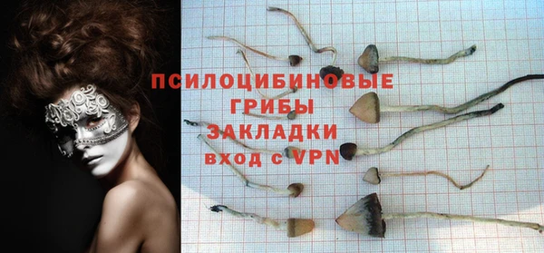прущая мука Богородск