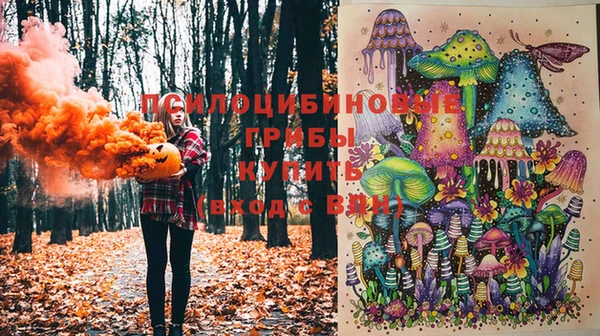 мдма Богданович