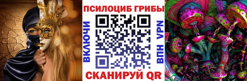 это наркотические препараты  Тамбов  Псилоцибиновые грибы Psilocybe 