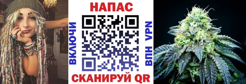 Бошки марихуана ГИДРОПОН Тамбов